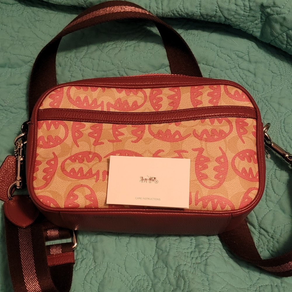 Coach x Guang Yu purse